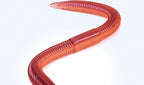 Soft Plastic Worm Lure, 96–120 mm (3.8–4.7 in) – product photo