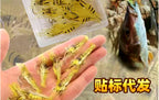 Realistic Shrimp Soft Bait with Hook, Glow Options – product photo