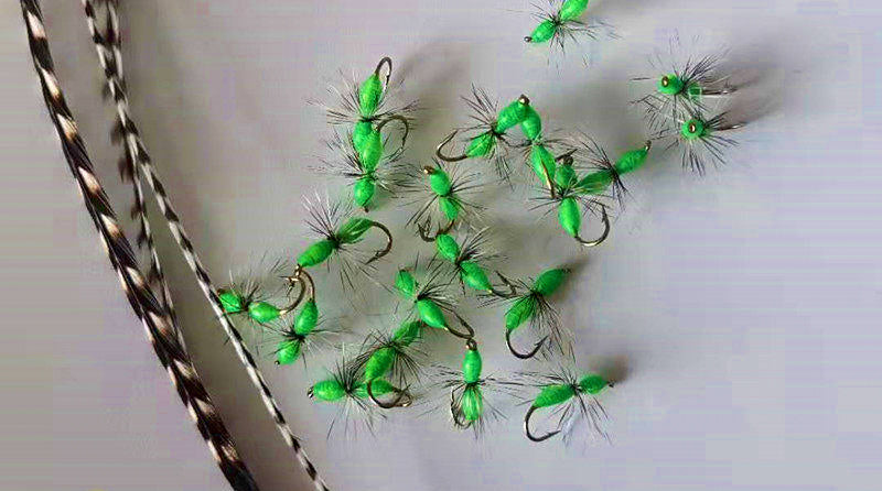 Fluorescent Green Ant Fly, Sizes 12–20, 5 or 10 Pack – product photo