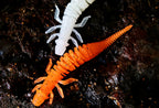 Floating Needle-Tail Soft Worm, 6.8 cm (2.7 in), 12 pcs – product photo