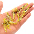 Soft Shrimp Lure with Hook, 4 cm (1.6 in), Glow & Color Packs – product photo