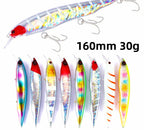 Saltwater Minnow Hard Bait, 16 cm (6.3 in), 30 g (1.1 oz) – product photo