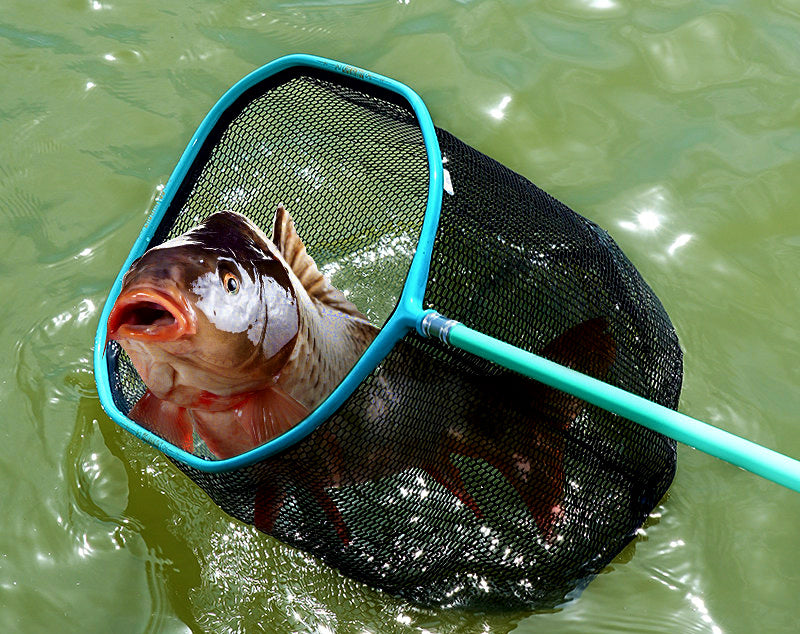 Landing Net Head, Deep Mesh, 50–60 cm (20–24 in) – product photo