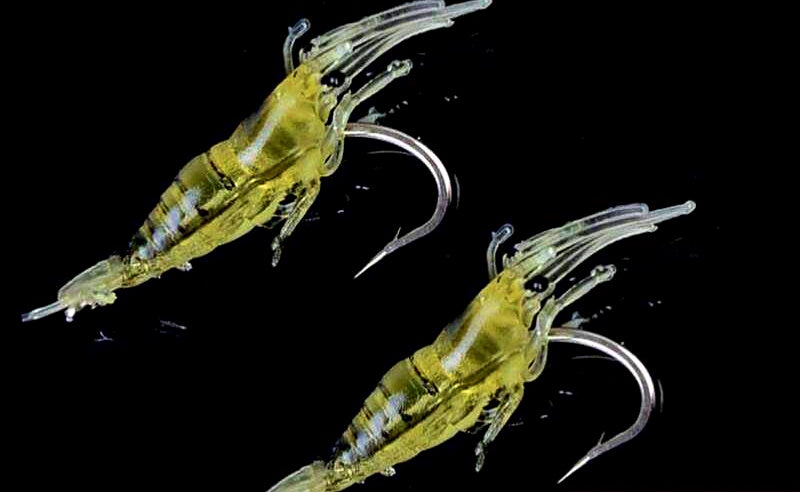 Glow Soft Shrimp Lure with Hook, 4 cm (1.6 in), 10 Pcs – product photo