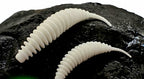 Glow Pin-Tail Soft Plastic Worm, 5 cm (2 in), 0.9 g – product photo