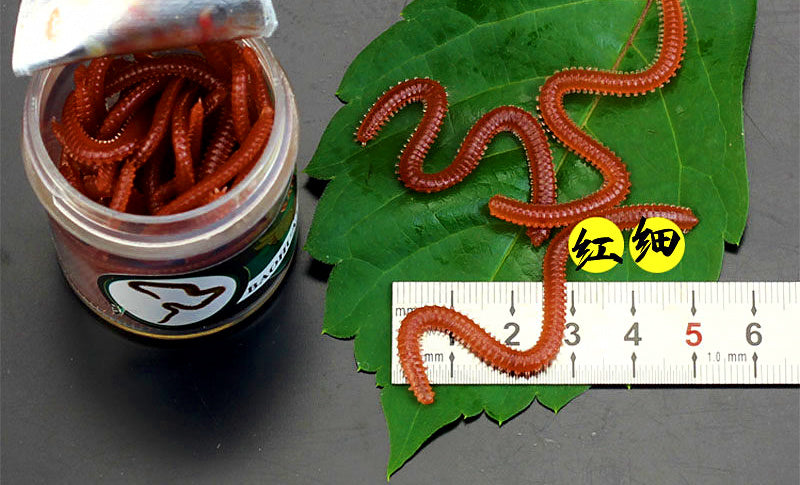 Artificial Sea Worm Soft Bait, Brown Red, Bottled – product photo