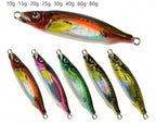 Casting Metal Jig, 10–80 g (0.35–2.8 oz), Painted – product photo