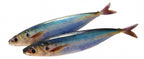 3D Printed Mackerel Soft Swimbait, 15 cm, 33.5 g (1.2 oz) – product photo