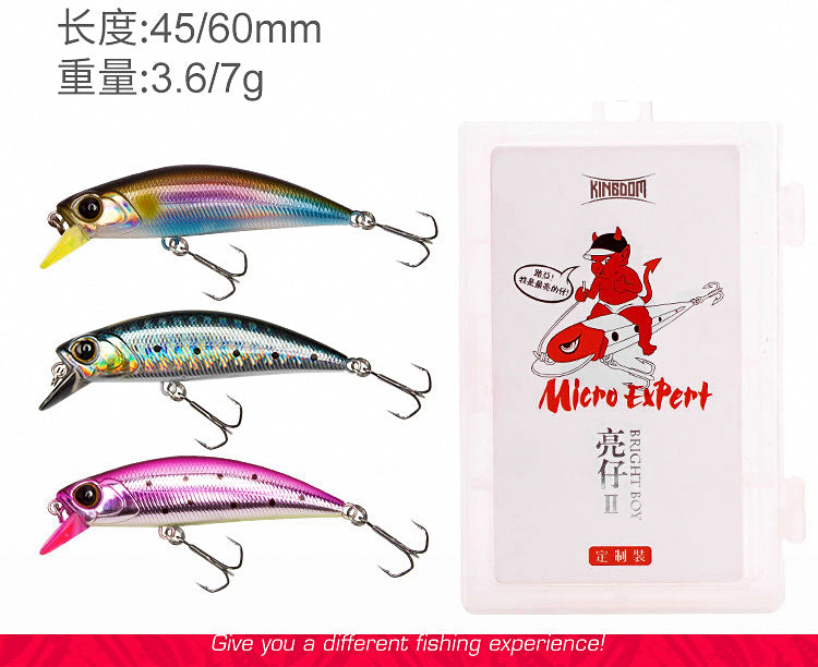 Sinking Minnow Hard Bait, 3.6 g & 7 g (0.13 & 0.25 oz) – product photo