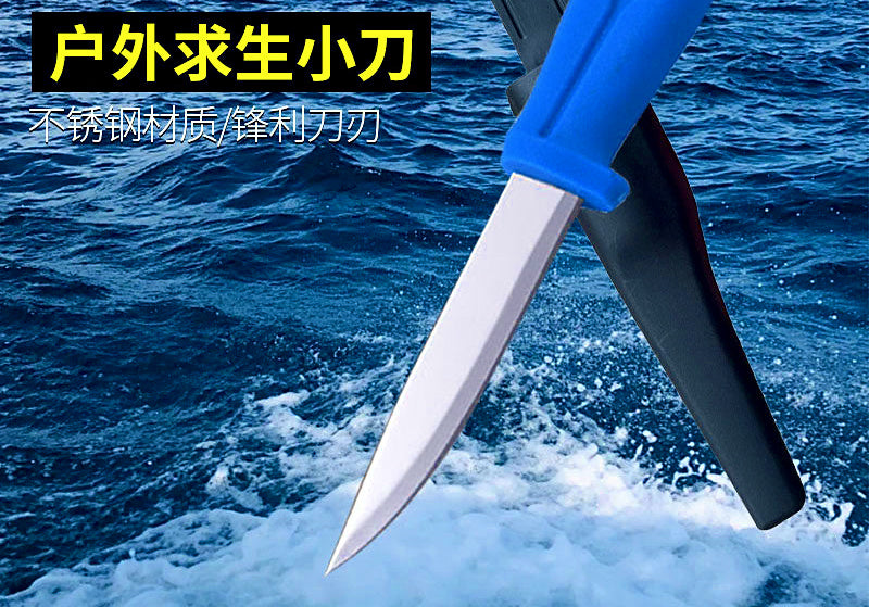 Stainless Steel Fish Knife, 9.5 cm (3.7 in) Blade – product photo
