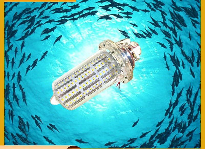Underwater LED Fishing Light, 12V or 220V, Up to 120 W – product photo