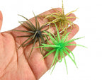 Floating Sea Urchin Soft Bait, 4–11 cm (1.6–4.3 in) – product photo