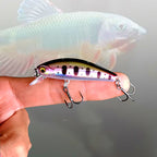 Sinking Minnow Hard Bait, 50 mm (2 in) 6.5 g (0.23 oz) – product photo