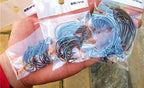 Offset Worm Hooks, Wide & Narrow Gap, 20 Pack – product photo