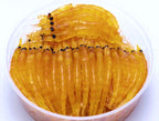 Antarctic Krill Bait Box, Yellow or Red, Saltwater – product photo