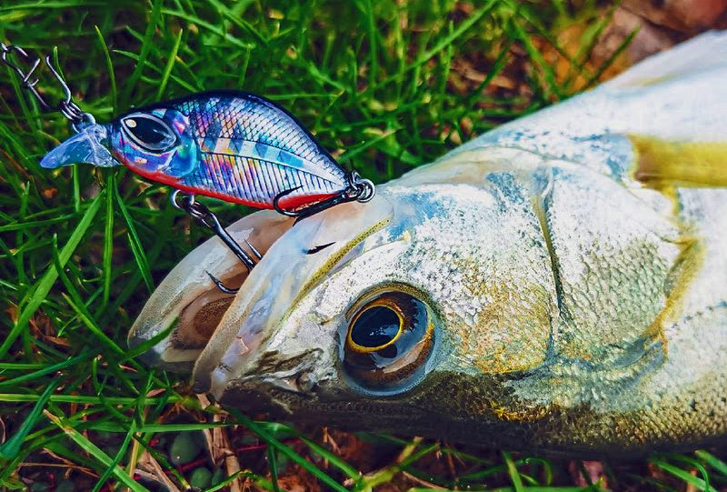 Micro Slow Sinking Minnow Lure, 30 mm (1.2 in) 3 g (0.11 oz) – product photo