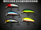 Sinking Minnow Lure, 6 g (0.2 oz), Bare or with Hooks – product photo