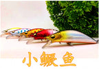 Sinking Minnow Hard Bait, 5 cm (2 in) 5 g (0.18 oz) – product photo