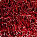 Red Earthworm Soft Bait, 50 or 100 Pack – product photo