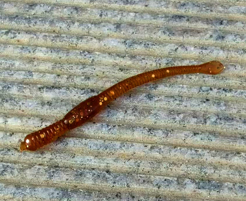 Soft Worm Lure 7.5 cm (3 in), 100-Pack, Brown – product photo