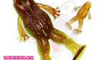 Soft Popper Frog Lure, 5.8–8.4 cm (2.3–3.3 in) – product photo