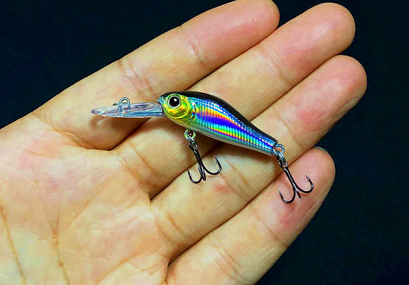 Slow Sinking Long Lip Minnow with Rattle, 2.5 g (0.09 oz) – product photo