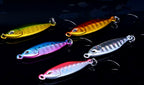 Micro Casting Jig, 5.5 g (0.19 oz), 35 mm (1.4 in) – product photo