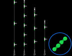Glow Bottom Fishing Rigs, 2/3 Hook Nylon, 3 per Pack – product photo