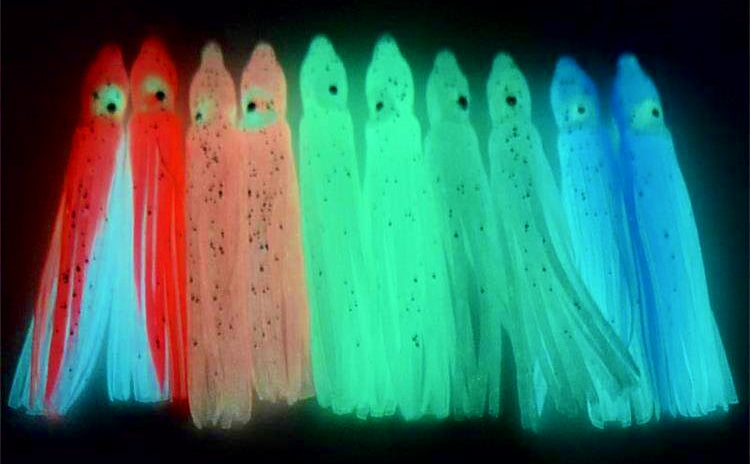 Glow Squid Skirt Trolling Lures, 10-Pack, Multiple Colors – product photo