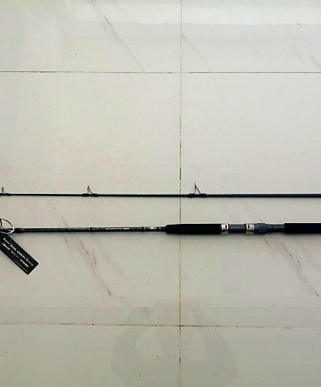 Surf & Boat Jigging Rod, 2-Pc Carbon, 8'6"–10' XH – product photo