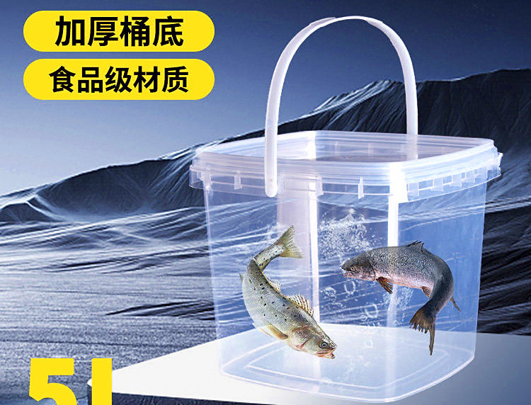 Clear Portable Live Fish Bucket, 3 L / 5 L (0.8 / 1.3 gal) – product photo