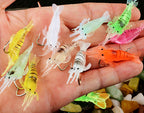 Soft Shrimp Lure with Hook, Glow Colors – product photo