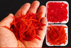 Soft Plastic Worm & Bloodworm Lures, 30–150 Pack – product photo
