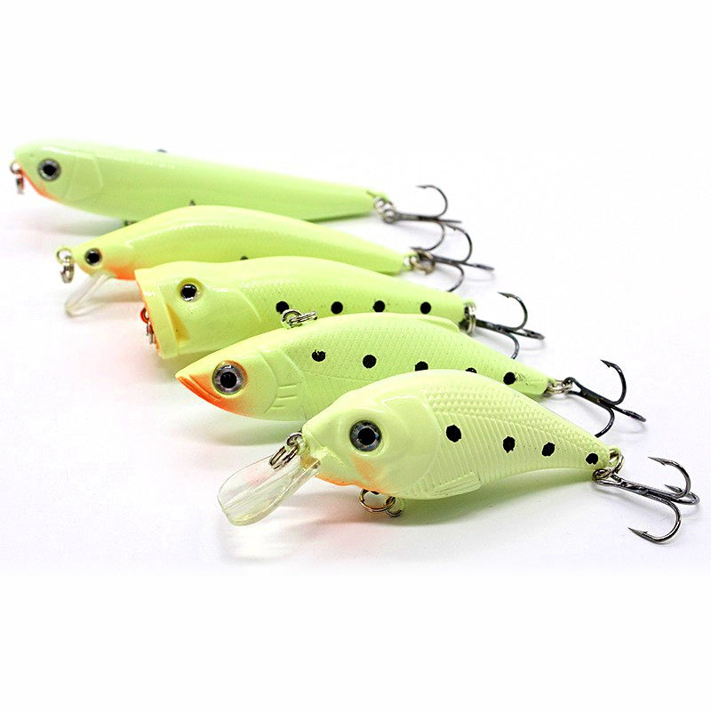 Glow Hard Bait Set, 5 Pieces with Tackle Box