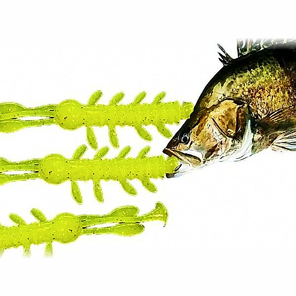 Soft Shrimp Lure with T-Tail and Beads, Pack Options