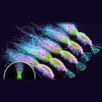 Glow Soft Shrimp Lure with Hook, 5-Pack