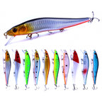 Slow Sinking Minnow Hard Bait, 14 cm (5.5 in), 23 g (0.8 oz)