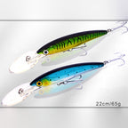 Deep Diving Trolling Minnow, 65 g (2.3 oz), 22 cm (8.7 in)