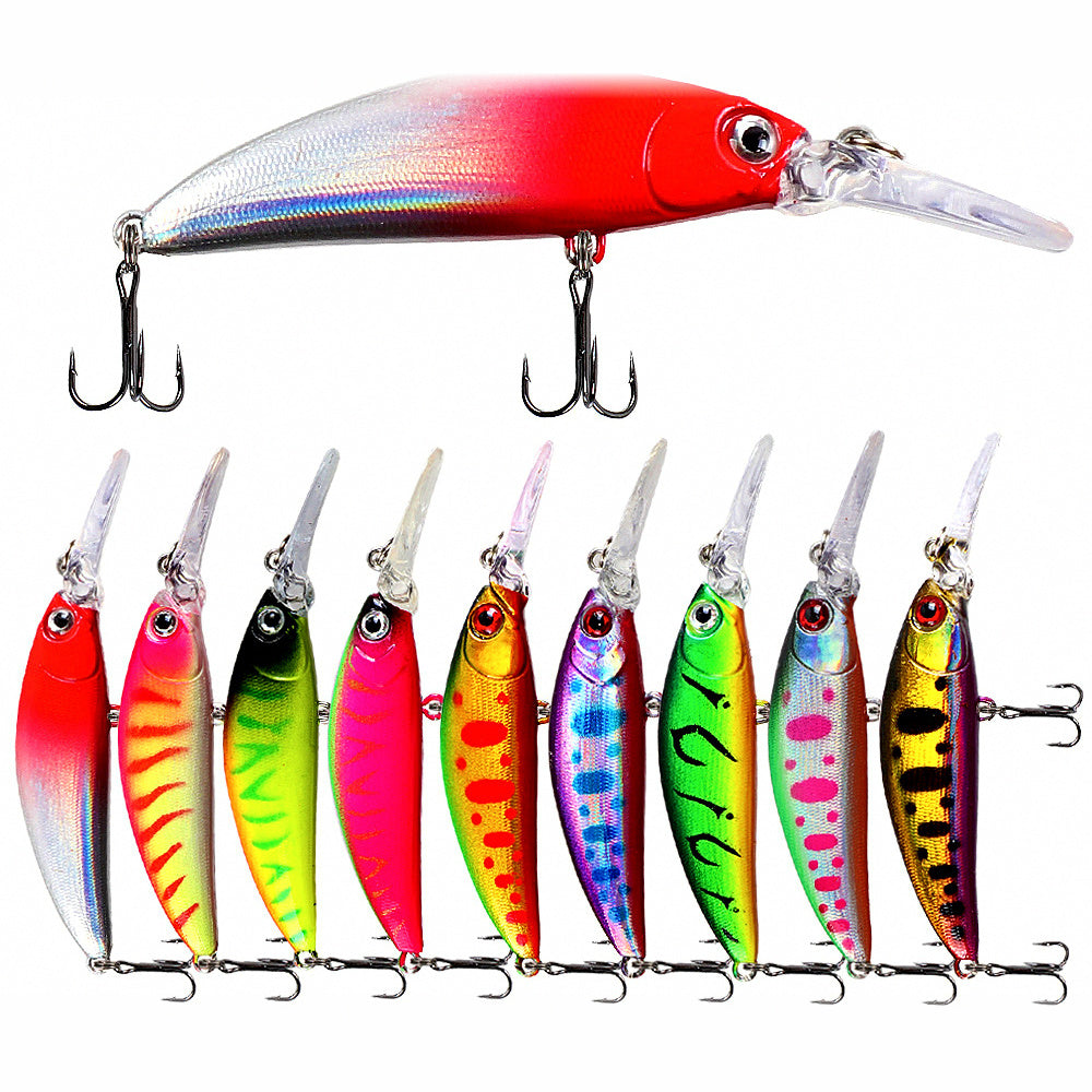 Long Lip Sinking Minnow Lure, 7 cm / 6 g (2.8 in / 0.21 oz)