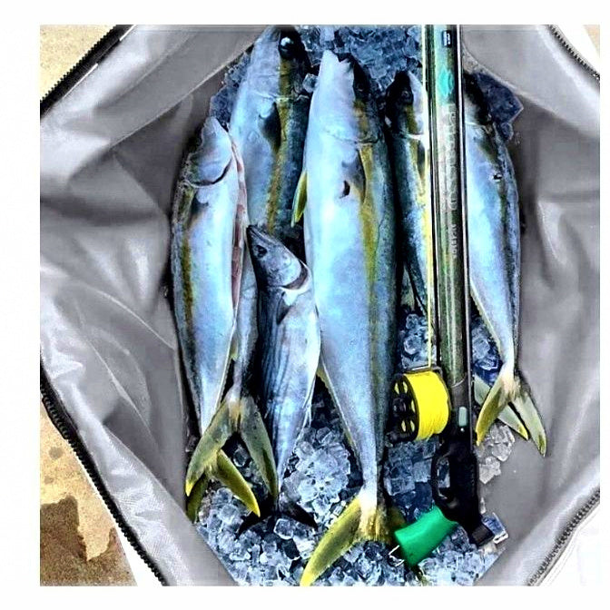 Waterproof Insulated Soft Cooler Bag, Tote or Backpack