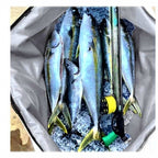 Waterproof Insulated Soft Cooler Bag, Tote or Backpack