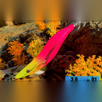 Glow UV Egi Squid Jig, Size 3.0, 15 g (0.5 oz)