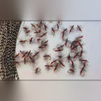 Red Ant Fly with Barbed Hook, Sizes 8–18, 5/10/20 Pack