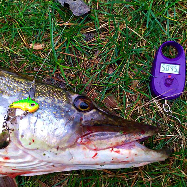 VIB Lipless Vibration Lure, 7–20 g (0.2–0.7 oz) – product photo