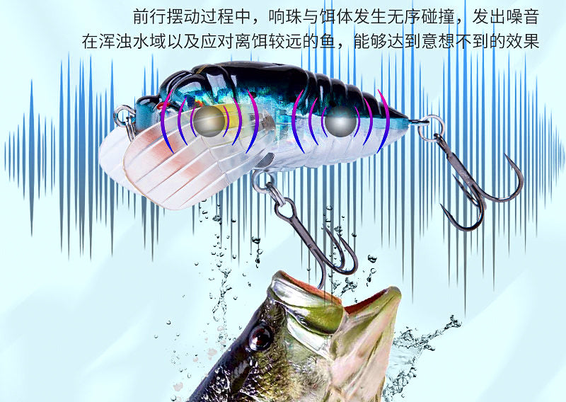 Cicada Topwater Floating Lure, 5.5 g & 12 g (0.19 & 0.42 oz) – product photo