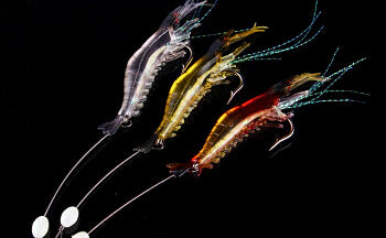 Soft Shrimp Lure, 7 cm (2.8 in) Soft Plastic Bait – product photo
