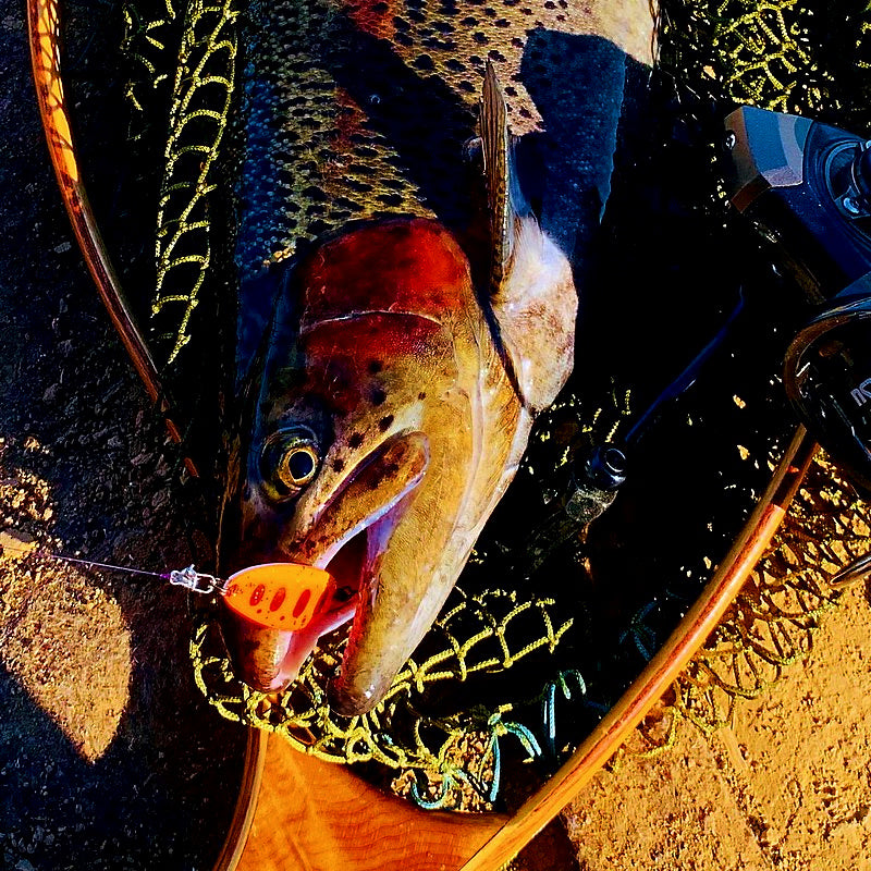 Micro Trout Spoon Lure, 2.1–3.3 g (0.07–0.12 oz) – product photo