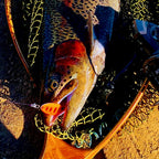 Micro Trout Spoon Lure, 2.1–3.3 g (0.07–0.12 oz) – product photo