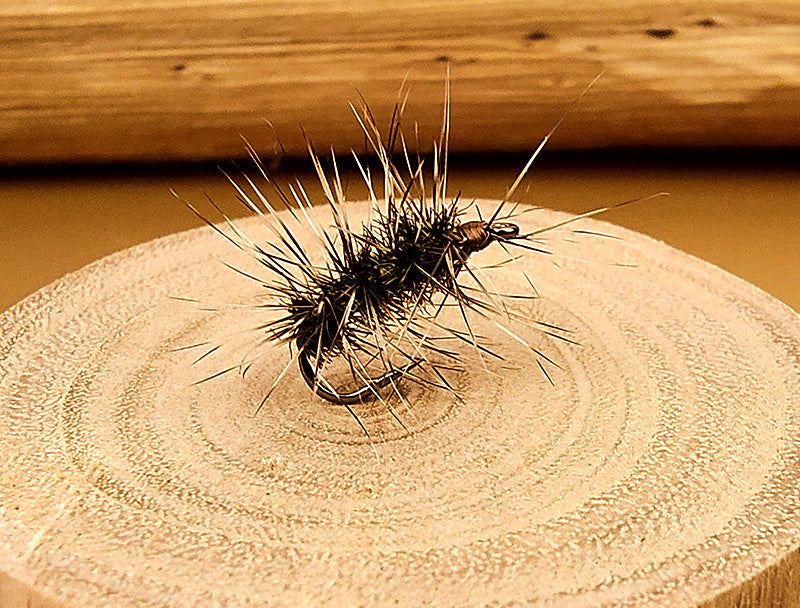 Griffith's Gnat Floating Dry Fly, Sizes #14–#18 – product photo
