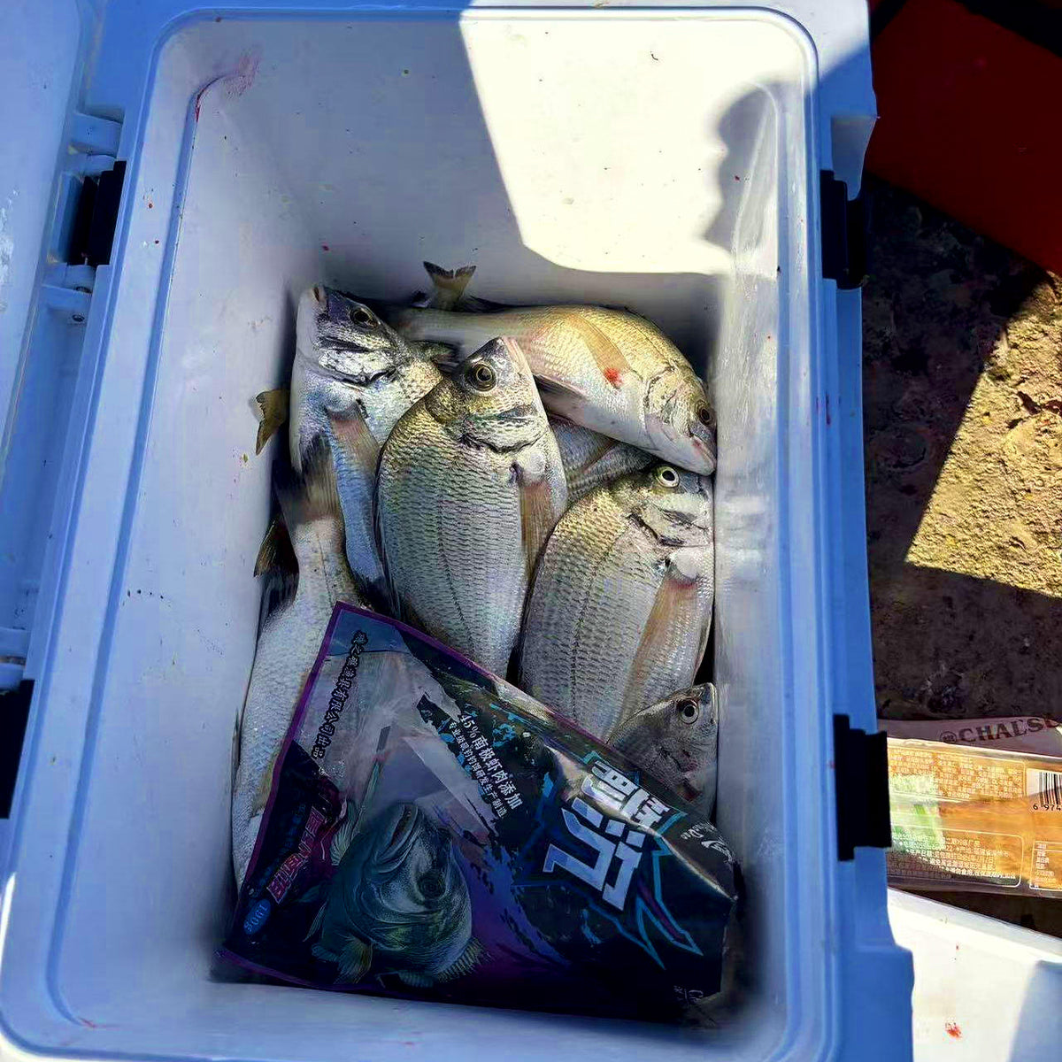 Sinking Dough Bait for Black Sea Bream, 190 g (6.7 oz) Pack – product photo